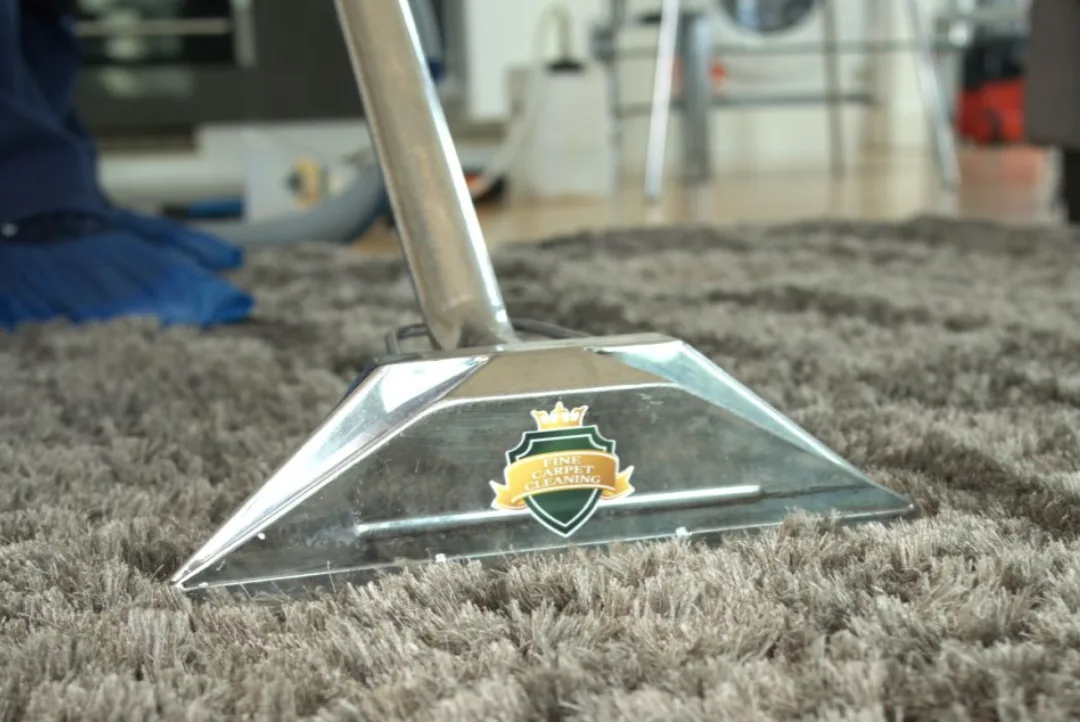 carpet-cleaning-highgate