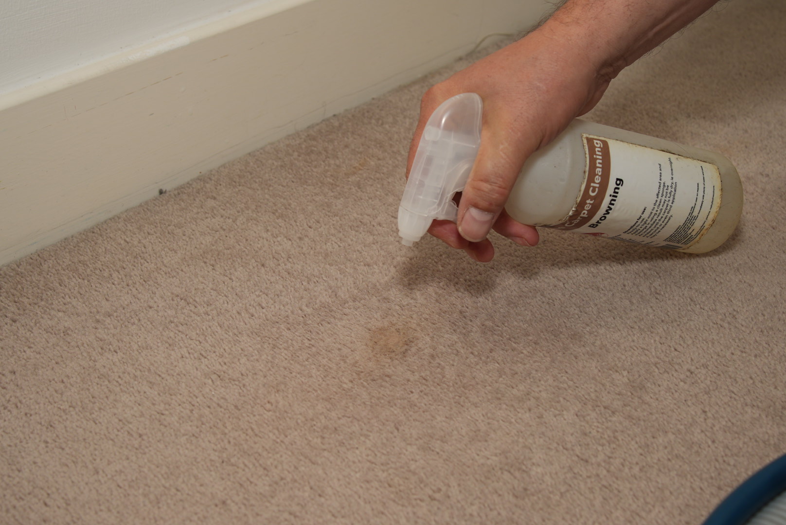 carpet-cleaning raynes-park