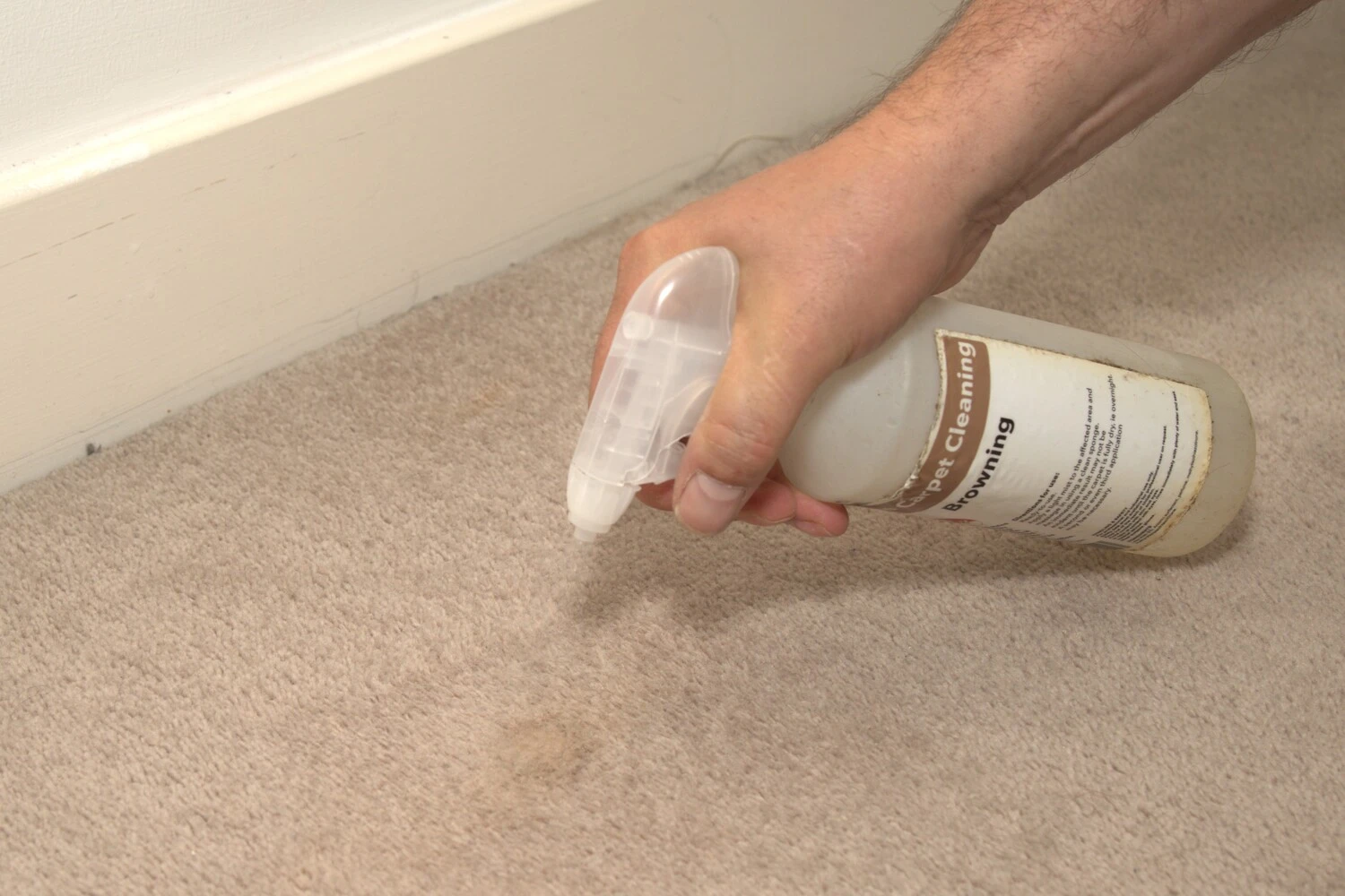 professional-stain-removal-service