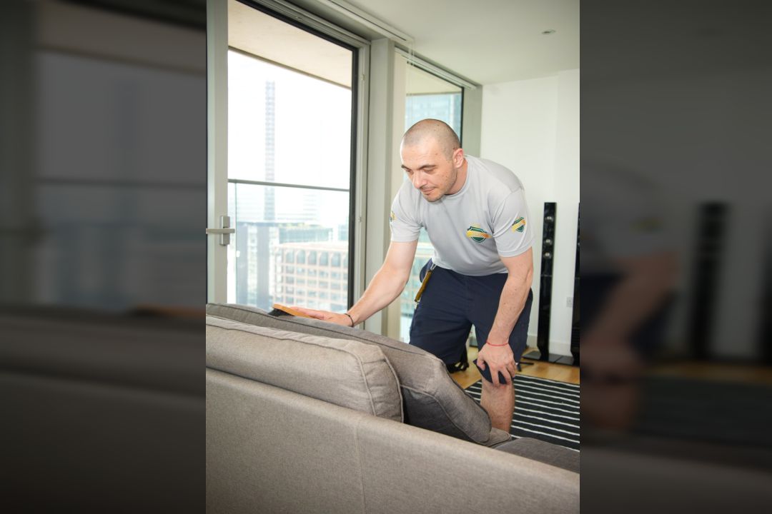 couch cushion cleaning service