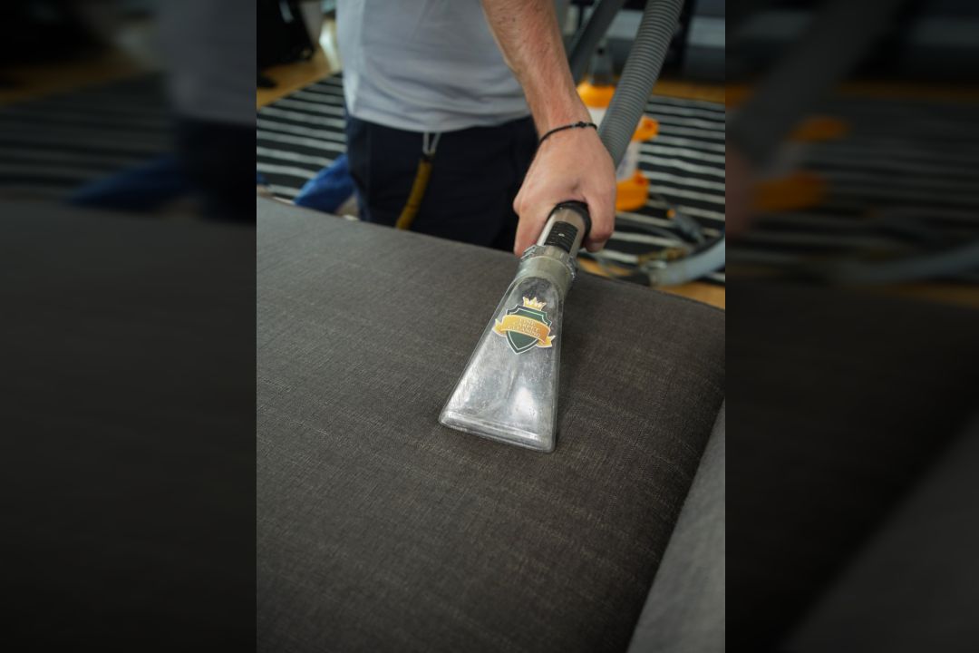 sofa cushion cleaning service