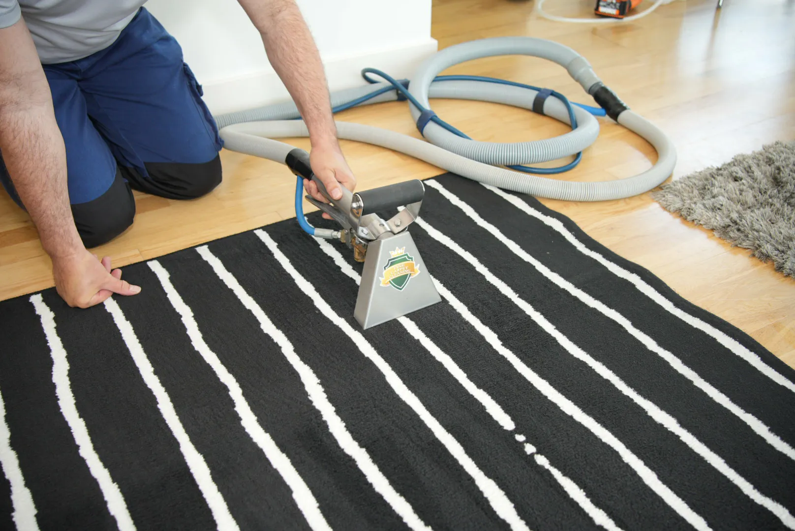 professional-stain-removal-service