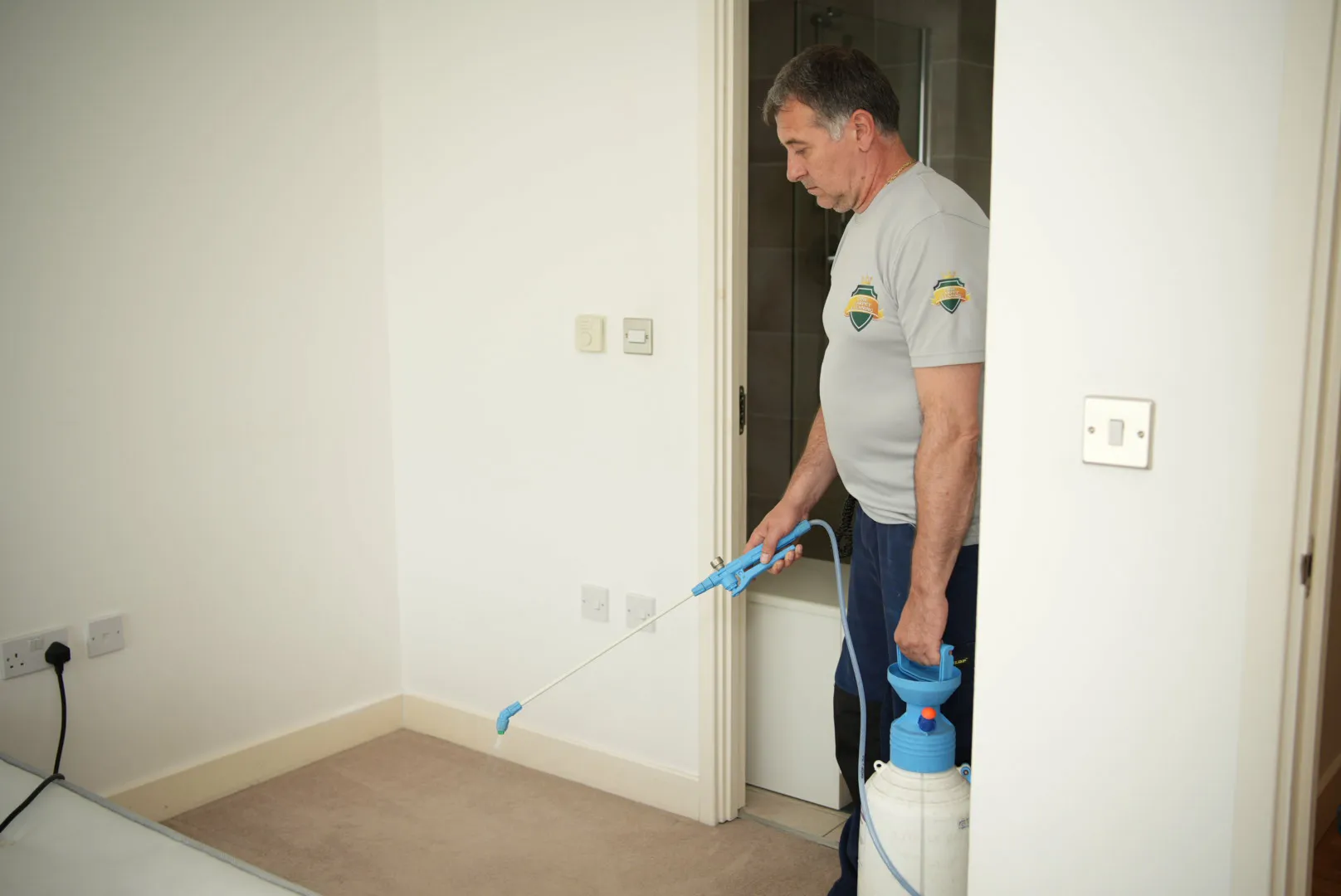 carpet stain protection services
