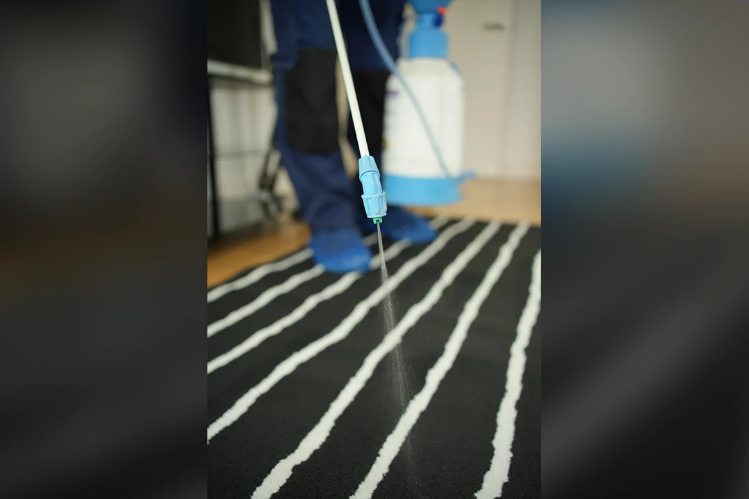 professional rug scotch garding near me