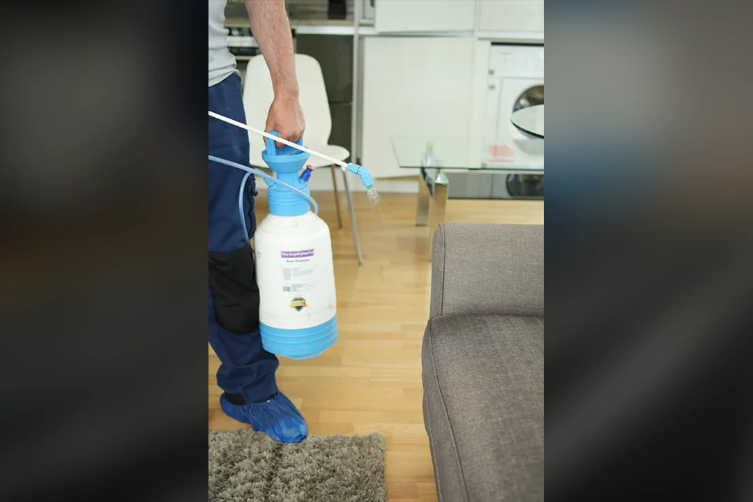 upholstery protection service